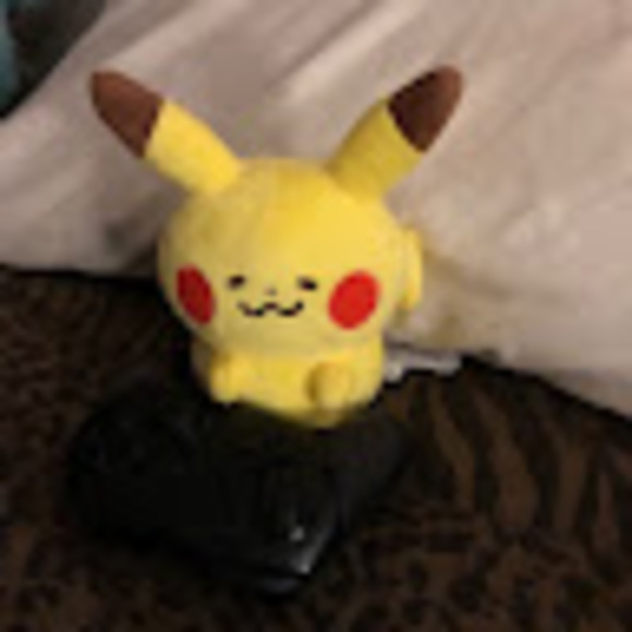 Meet your Posher, Bridgette - Picture 1 of 1